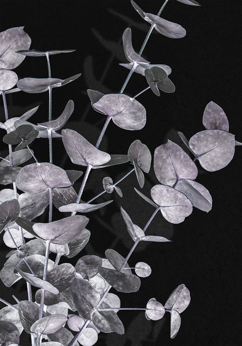 Eucalyptus Negative No.3 -juliste