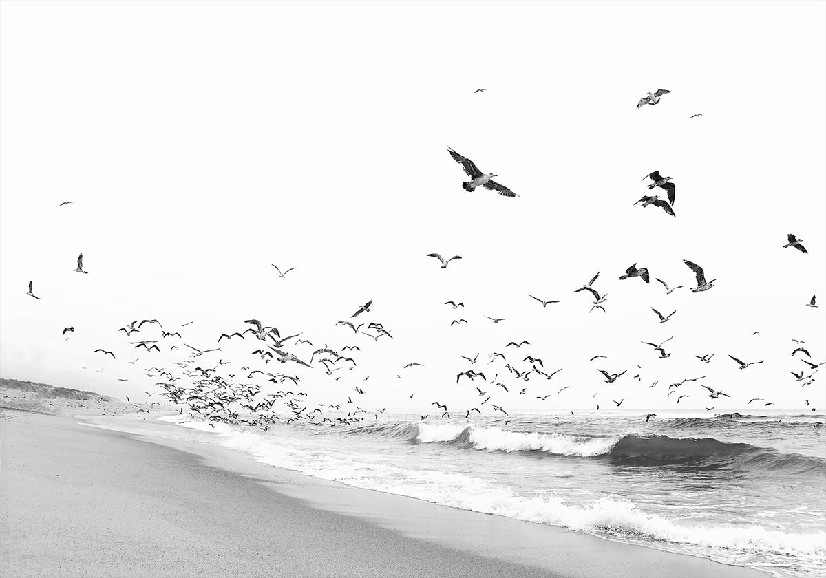Seascape BW (UUSI)
