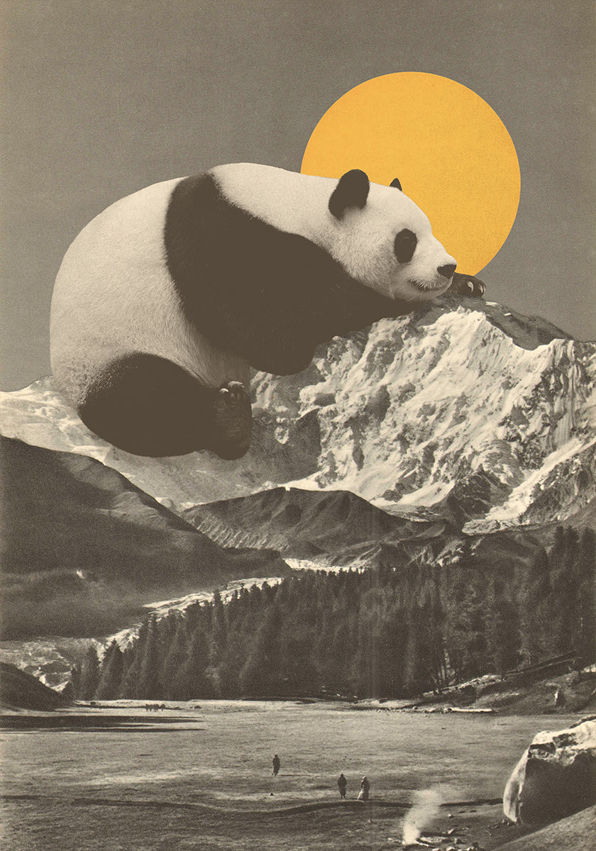 Giant Panda Nap (UUSI)