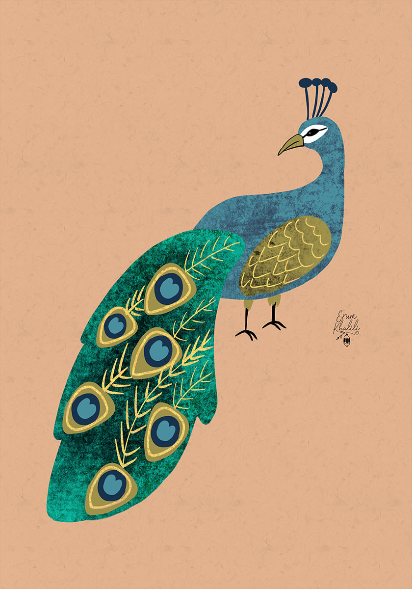 Peacock Erum Khalili.png Juliste