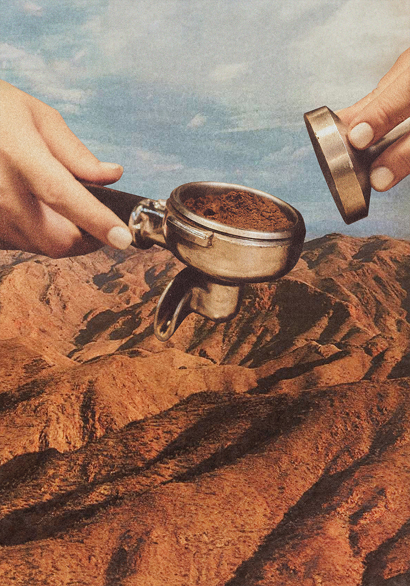 Barista Coffee County -juliste