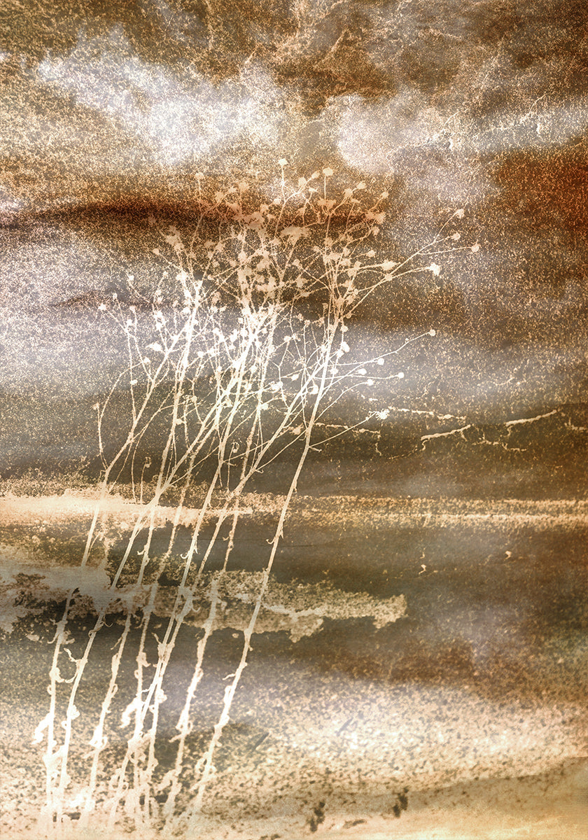 Kuivatut unet -juliste