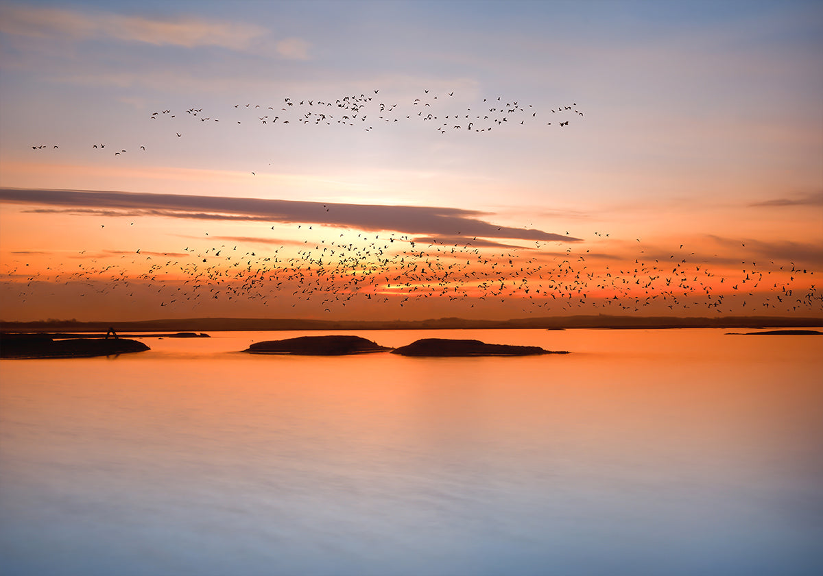 kaupungin auringonlaskun juliste