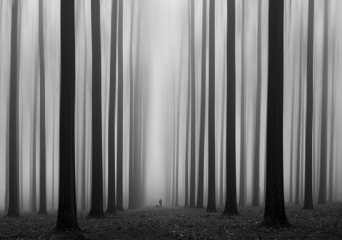 Labyrintti