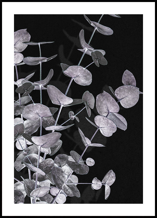 Eucalyptus Negative No.3 -juliste