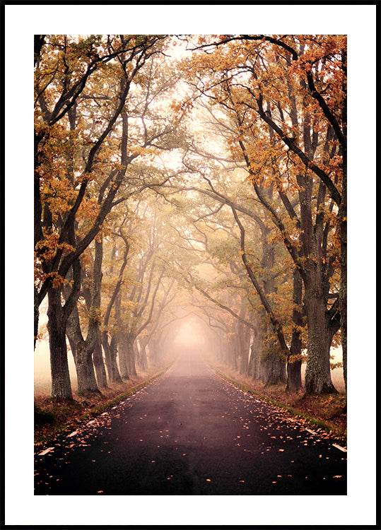 Autumn Avenue -juliste