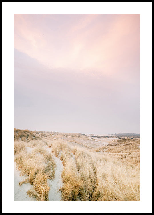 Ameland Dunes 1 (UUSI)
