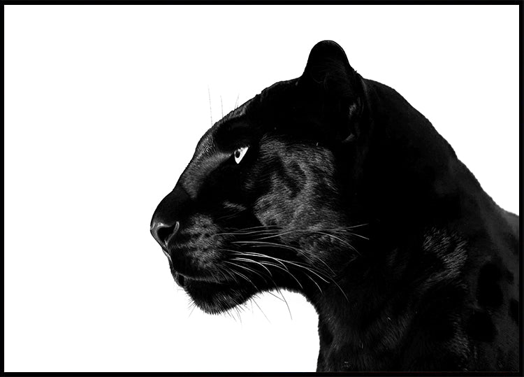 Black Panther -profiilijuliste
