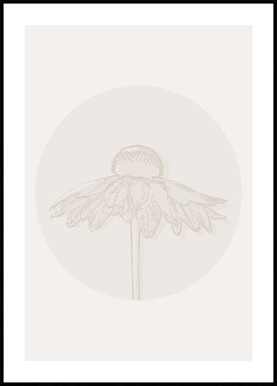 Gaillardia Bloom, Kasvitieteellinen Line Art -juliste