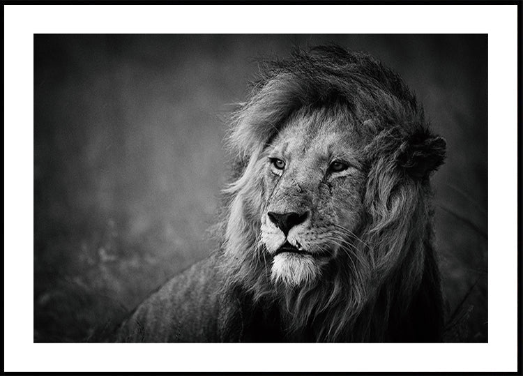 Regal juliste