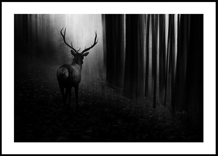 Stag