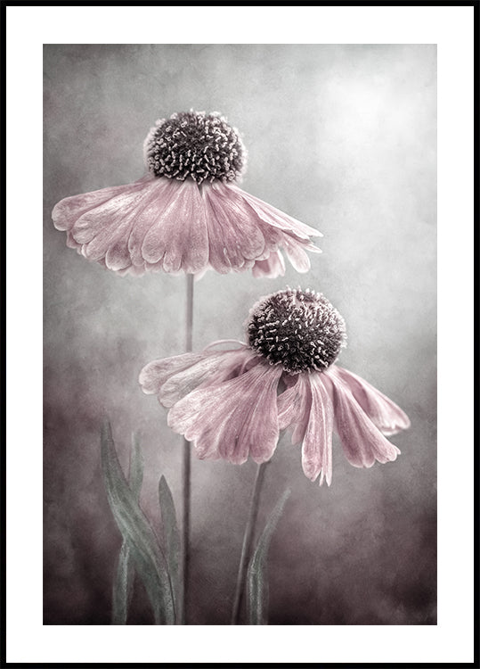 Duet juliste