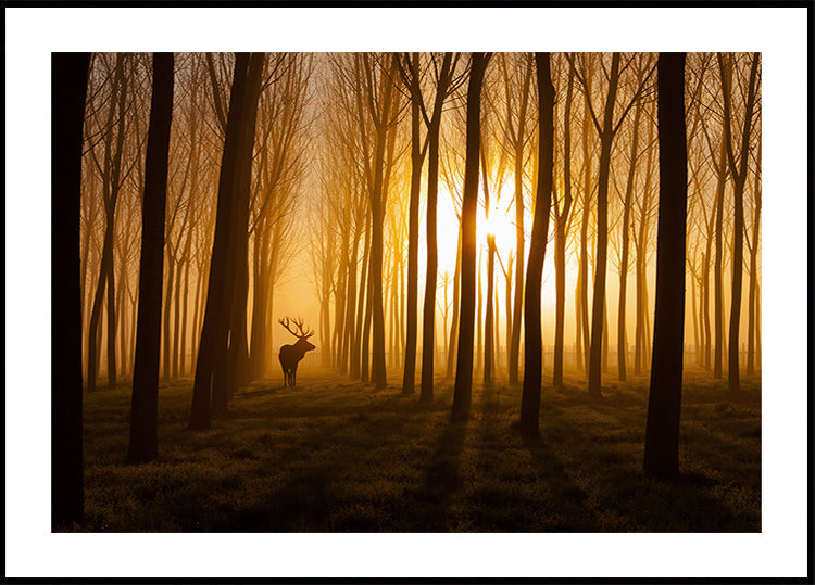 Olipa kerran -juliste