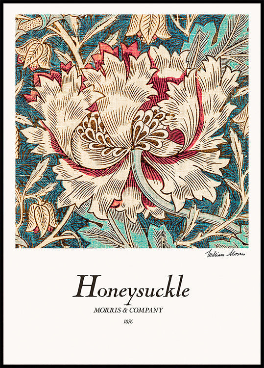 Honeysuckle juliste