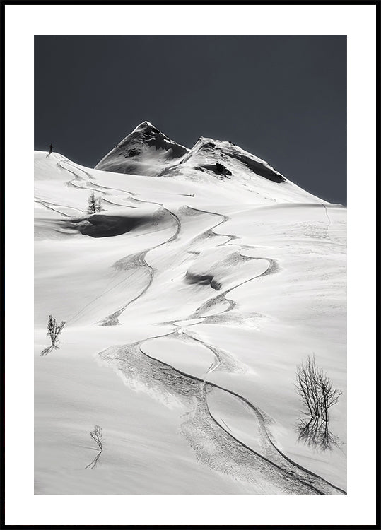 freeride juliste