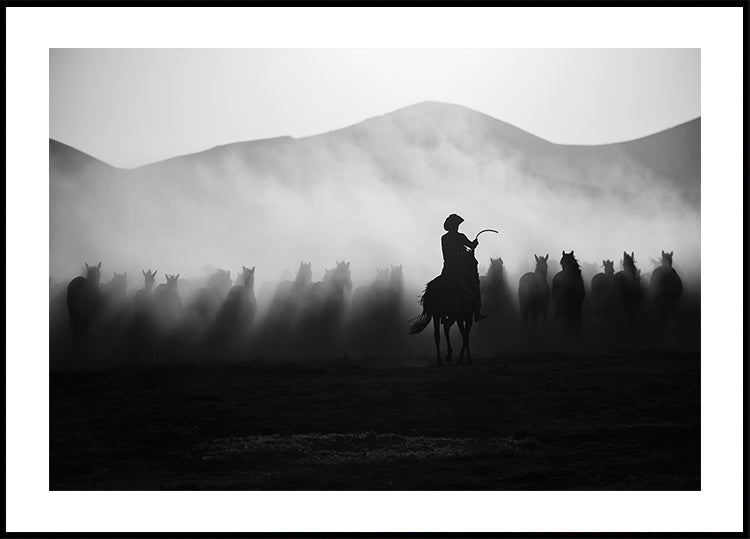 Jadeja takaa! Juliste