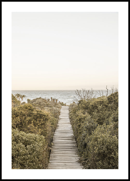 Pathway to Tranquility -juliste