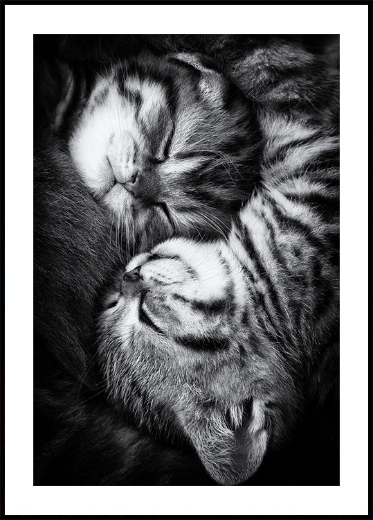 Yin ja Yang