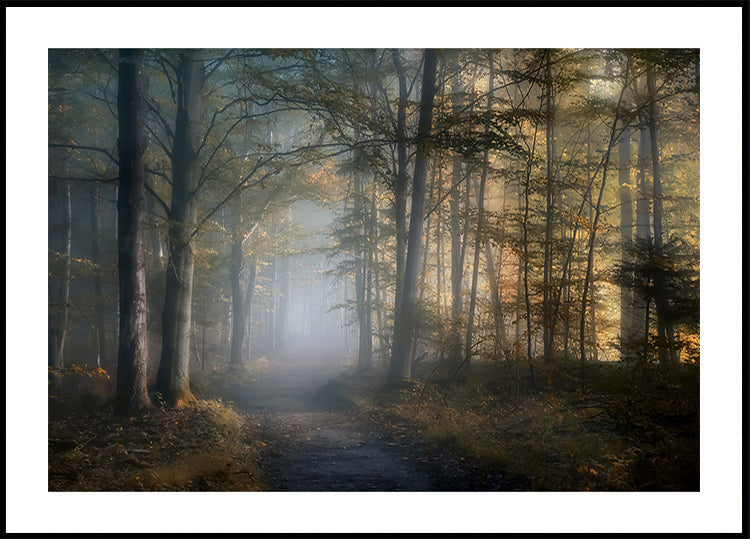 syksyn sinfonia Juliste