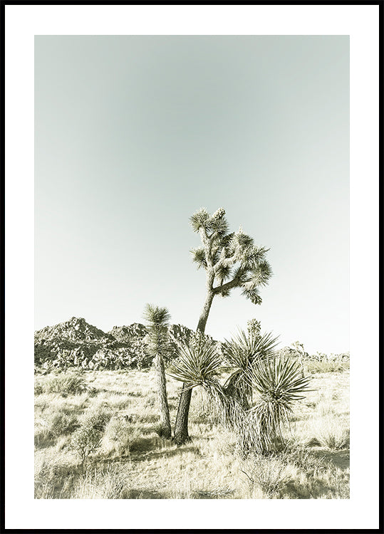 Joshua Tree National Park Vintage Impression -juliste