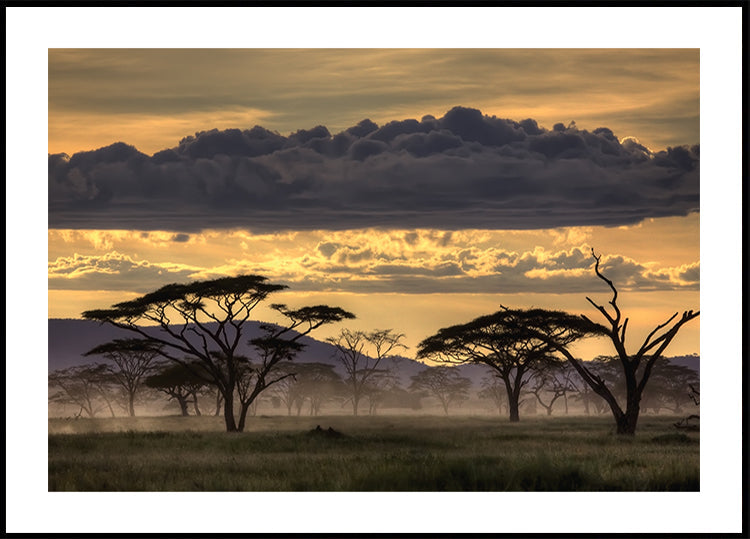 Hyvää iltaa Tansania