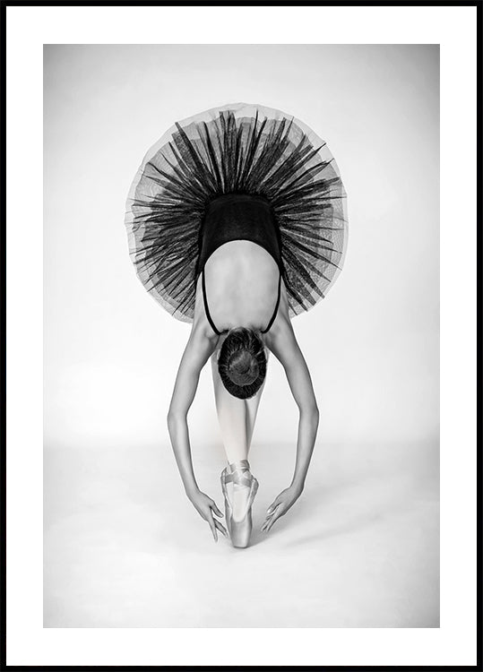 Ballet Technique Poster