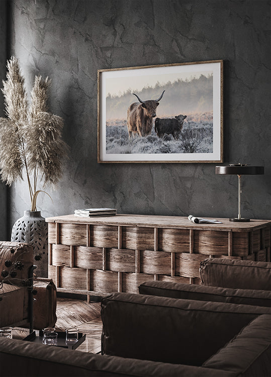 Highlander and Calf -juliste