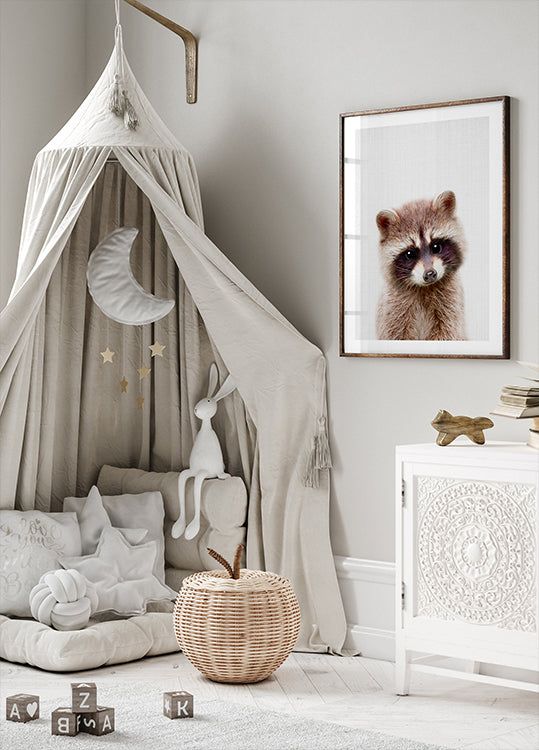 Peekaboo Raccoon -juliste