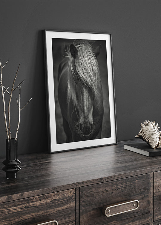 Alpine Surf Dude -juliste