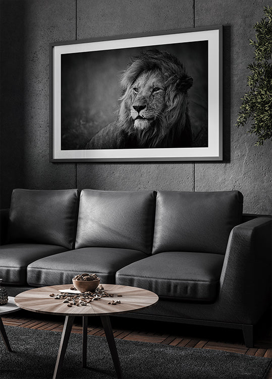 Regal juliste