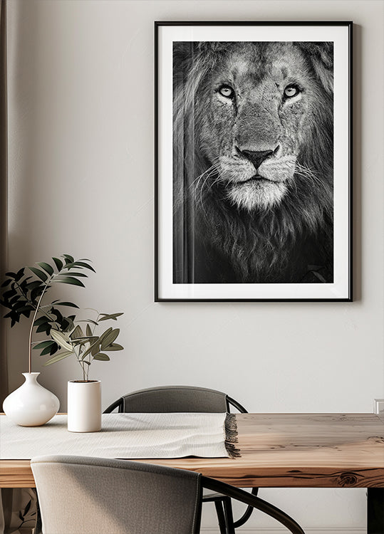 Kuninkaallinen muotokuva juliste