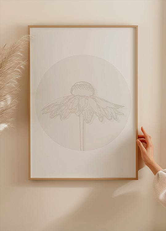 Gaillardia Bloom, Kasvitieteellinen Line Art -juliste