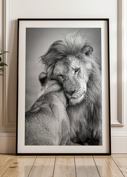 Afrikkalainen rakkaus! Juliste