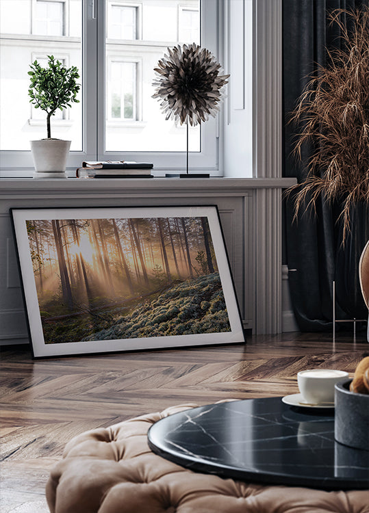 Sumu metsässä, valkoinen sammal etualalla Juliste