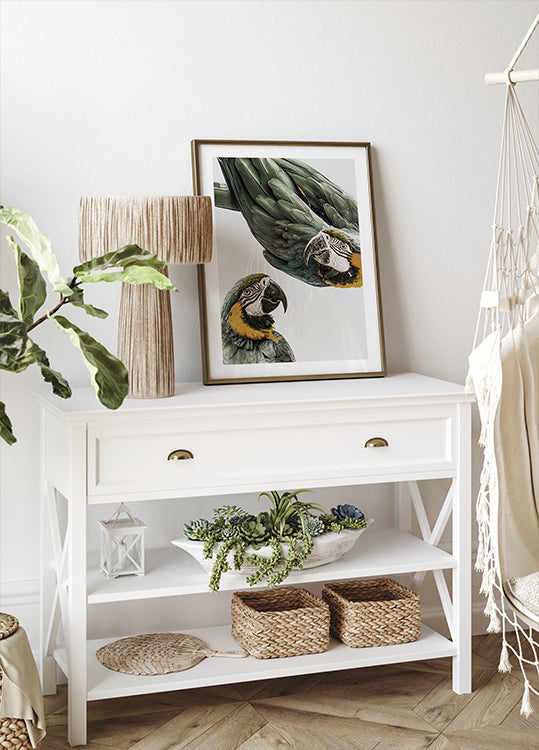 Elävä Parrot Duo