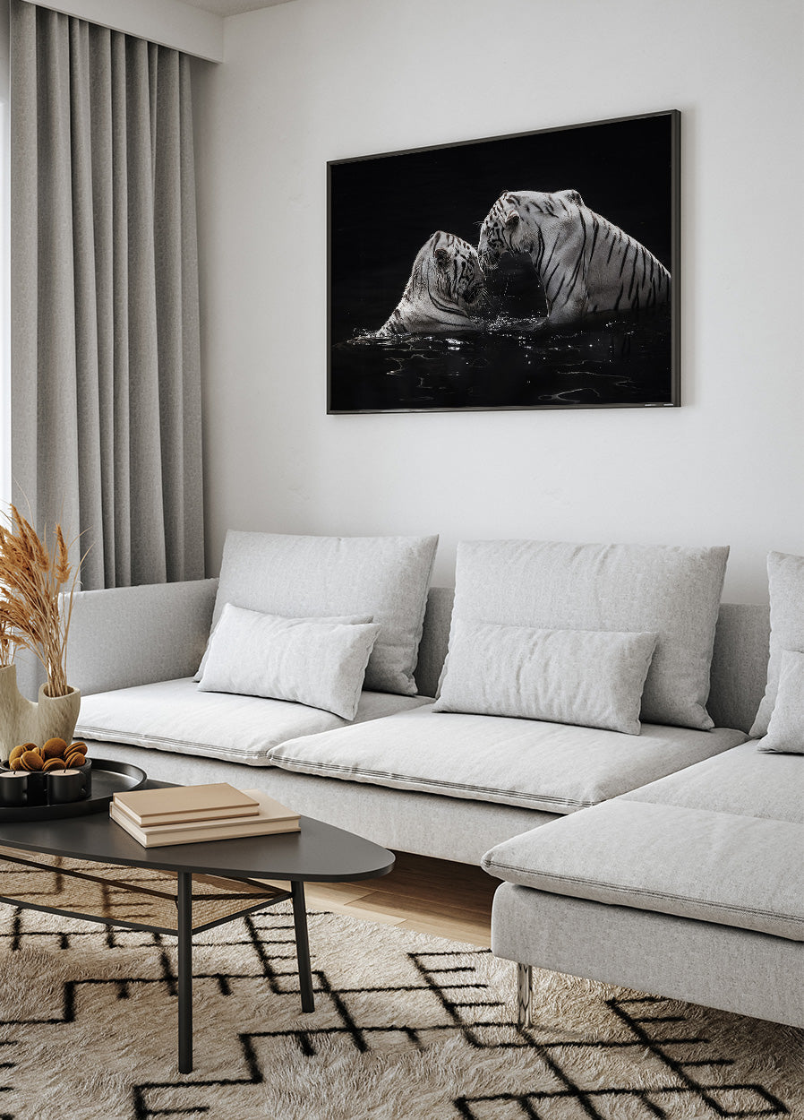 White Tigers in The Water Plakat - Posterbox.dk