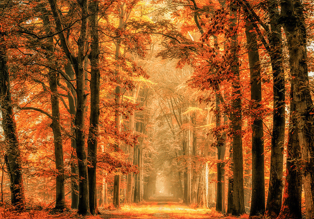 Poistu portaalijulisteesta