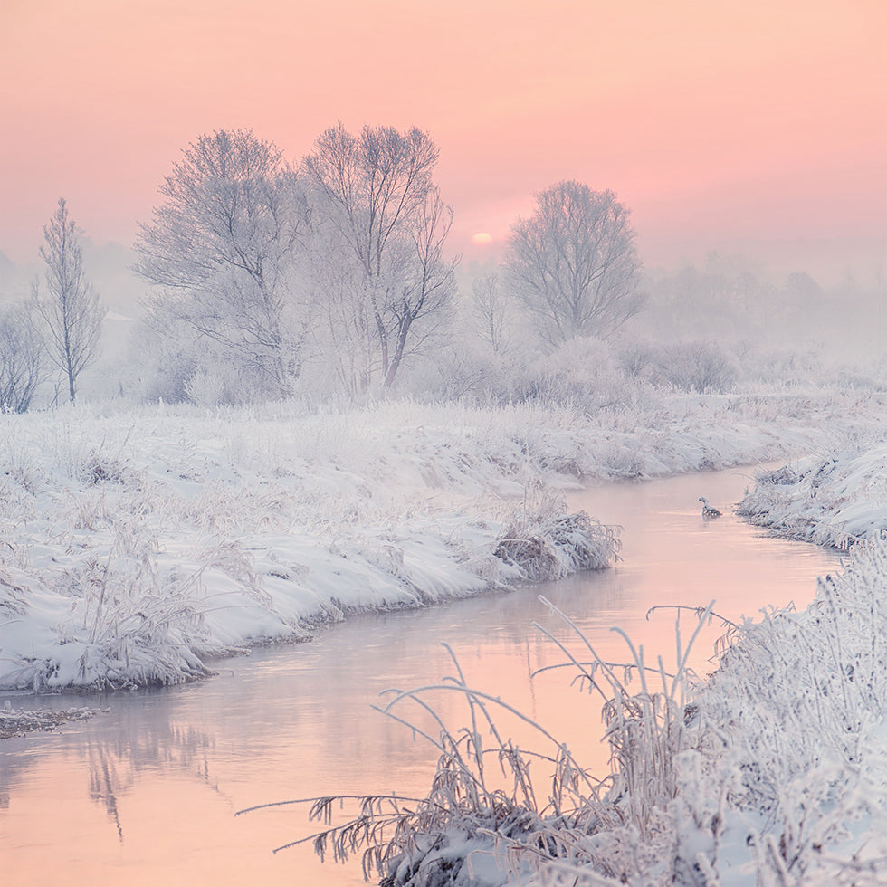 tie aurinkoon Juliste