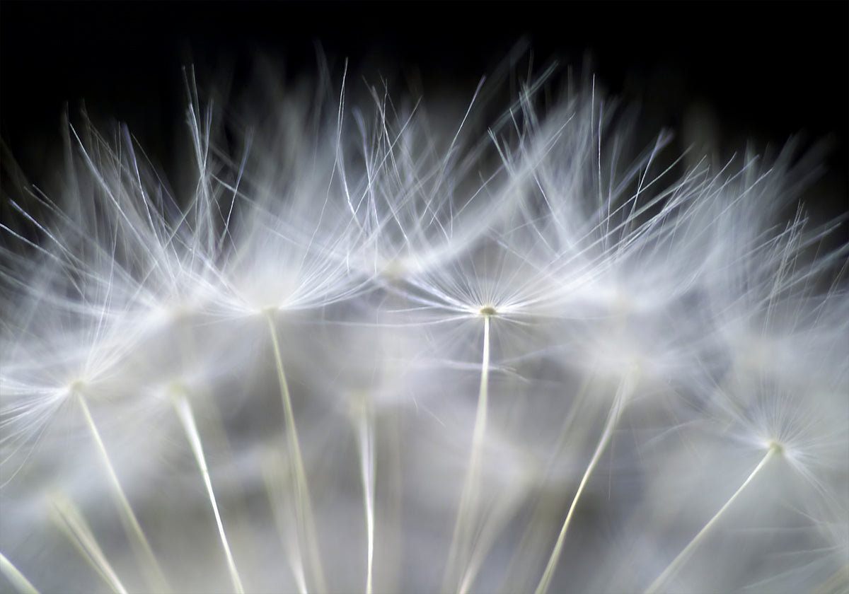 Blow it -juliste