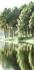 Green Summer Lake -juliste - Posterbox.no