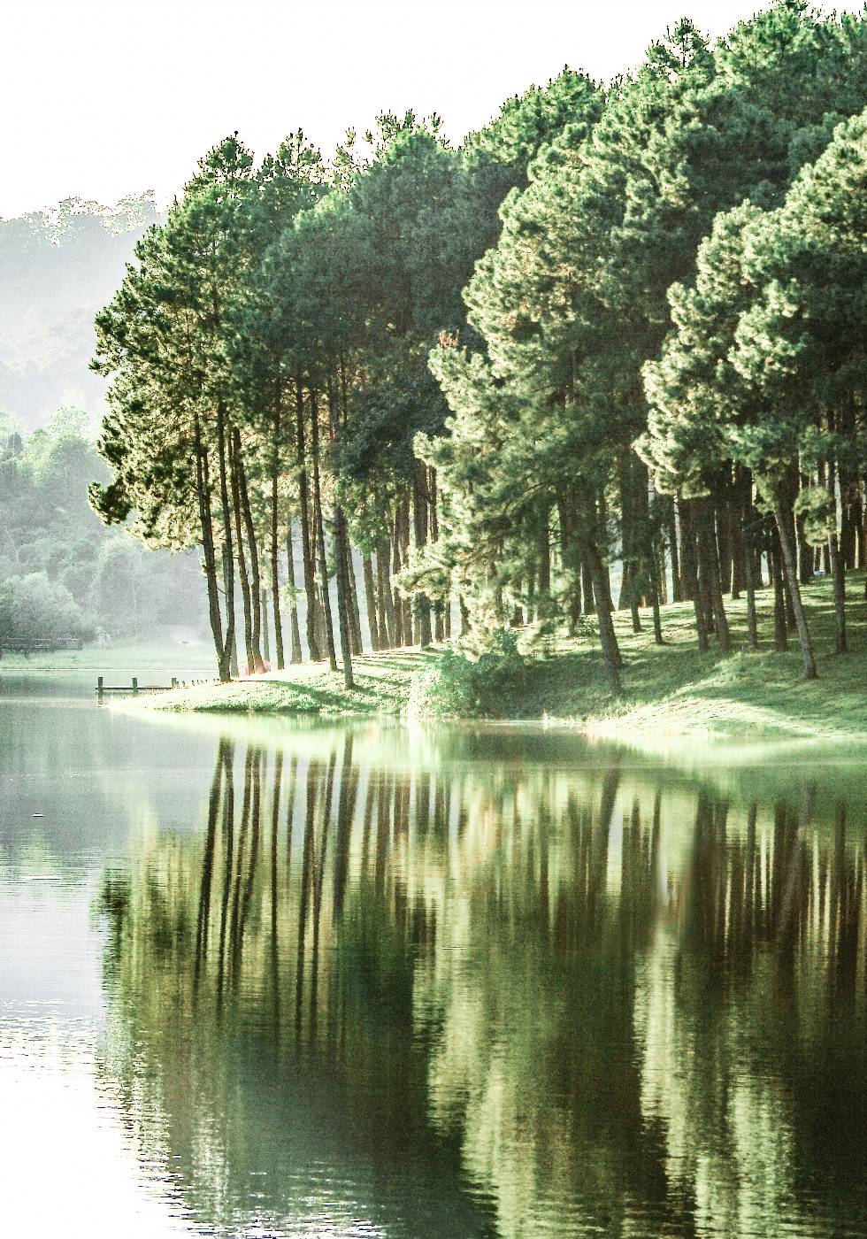 Green Summer Lake -juliste - Posterbox.no