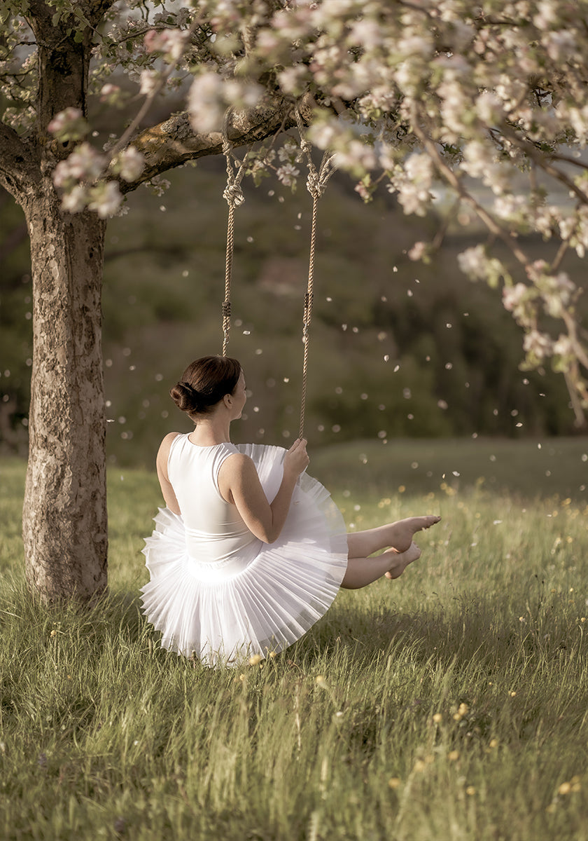 cherry tree swing (NEW) - Posterbox