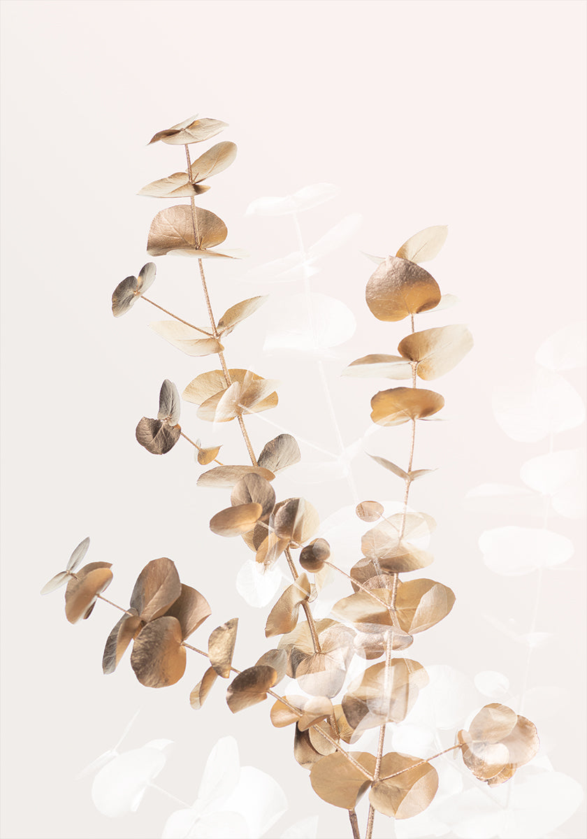Eucalyptus Creative Gold 03 -juliste