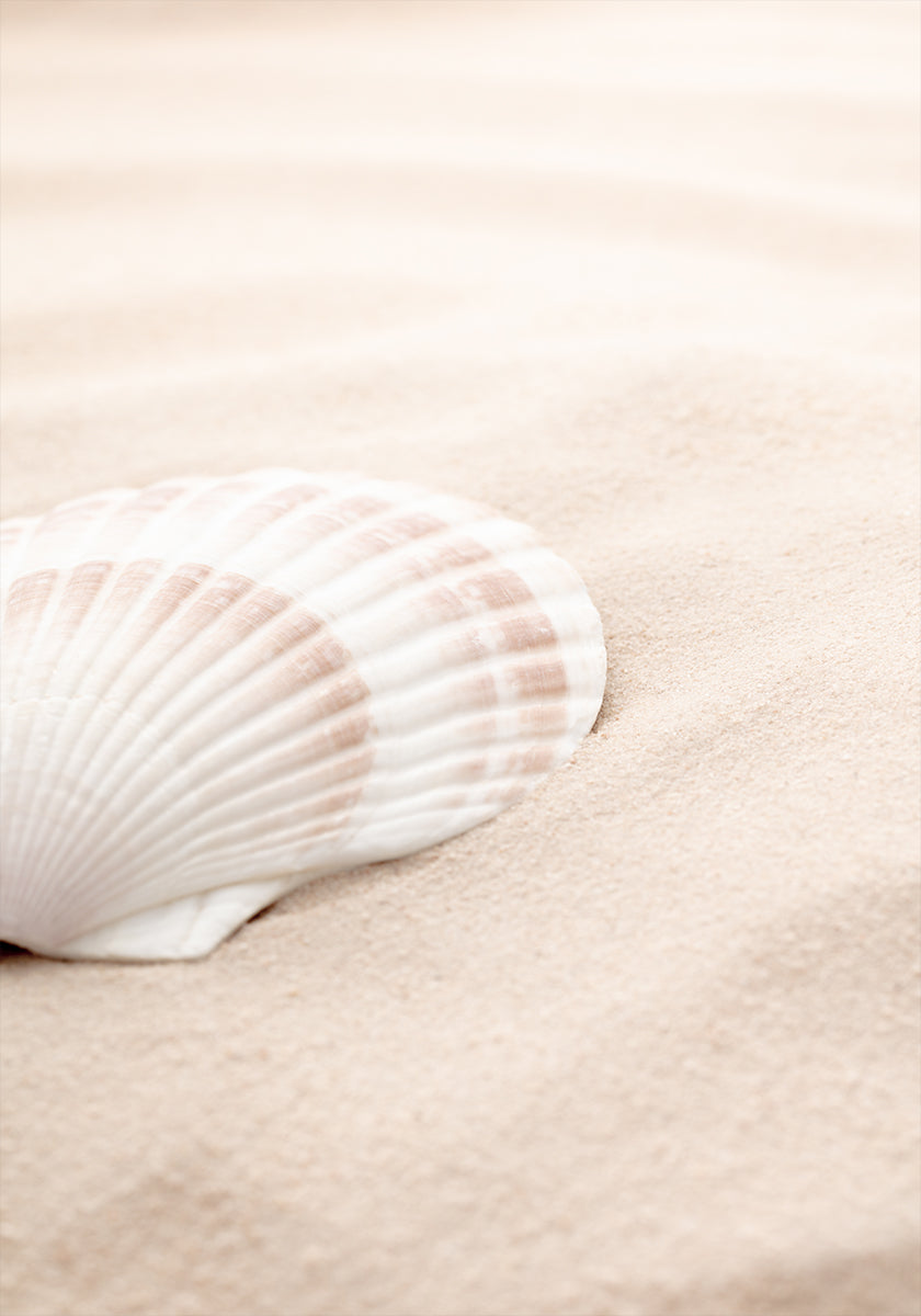 Shell_3 juliste