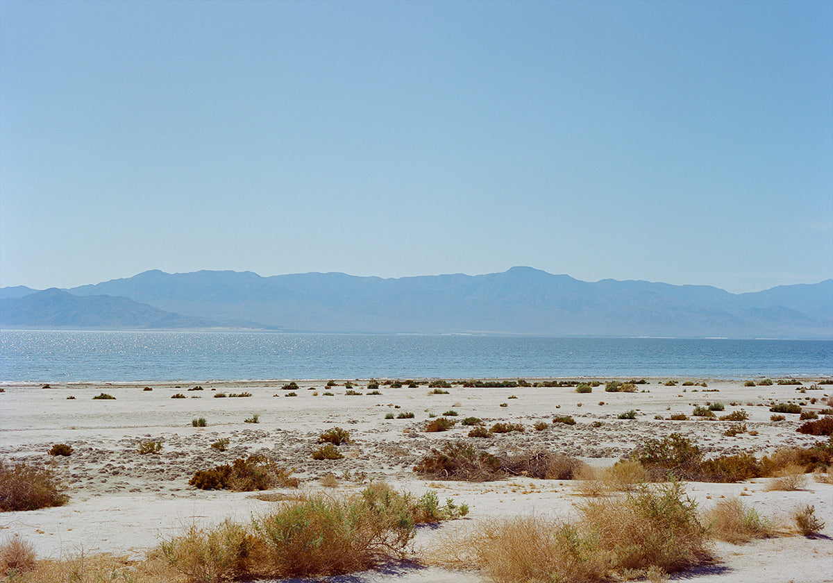 Bombay Beach Spring (NEW) - Posterbox