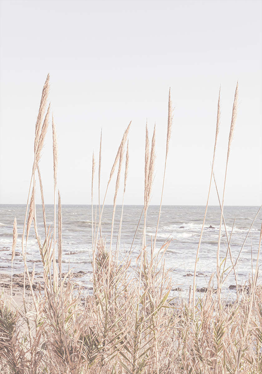 Beach_Vass_001 juliste