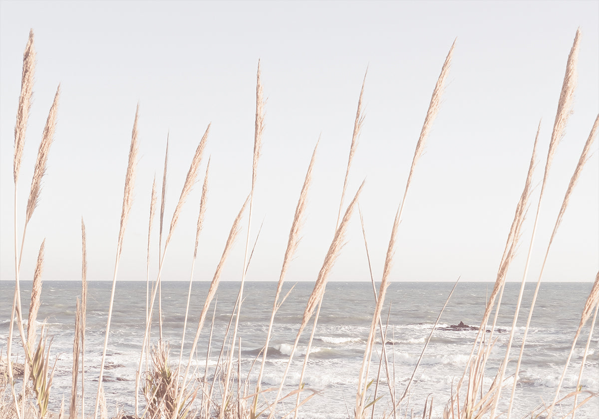 Beach_Vass_002 juliste