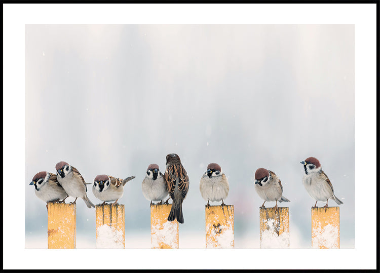 a group of birds sitting on top of a wooden post