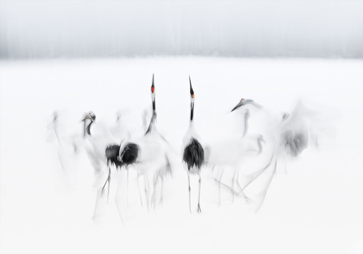 Kalligrafinen balettijuliste