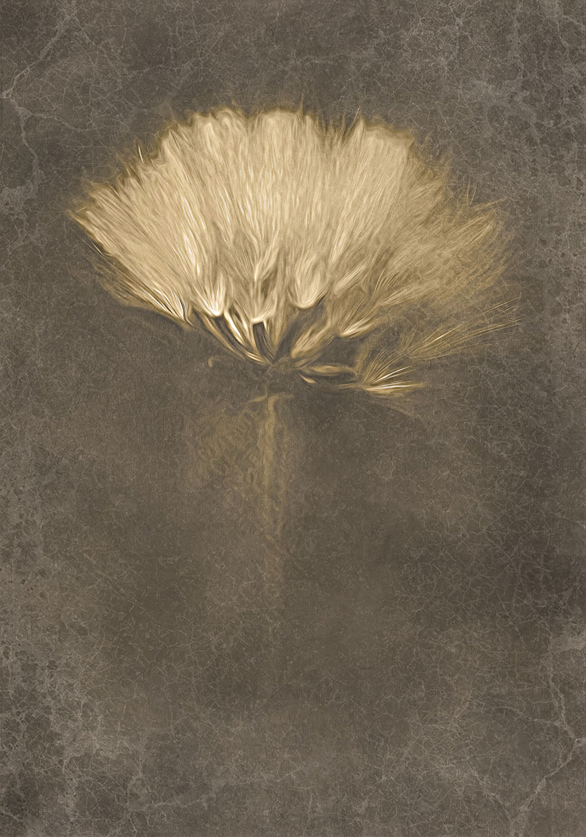 Salaperäisten päivien juliste